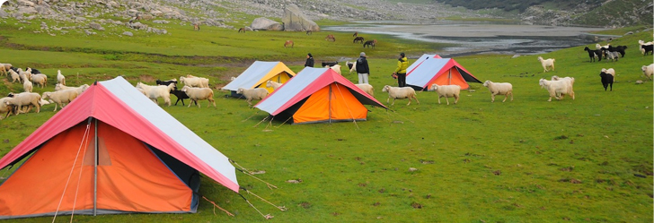 Camping_Himachal