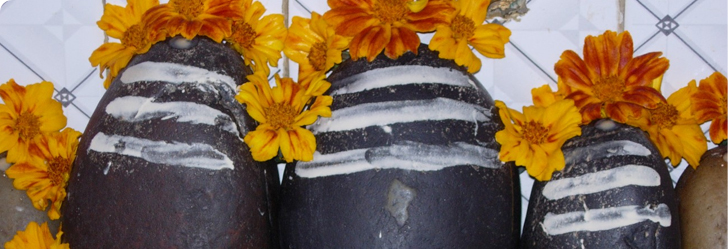 Chintpurni Temple Una Banner