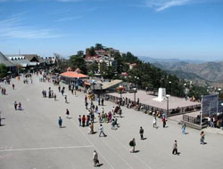 gleeful-shimla-and-manali