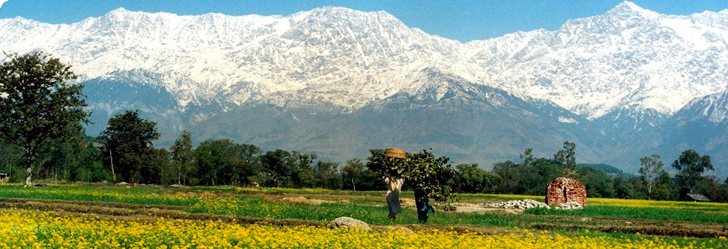 Dharamshala Dalhousie Tour