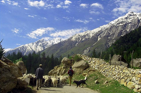 Kullu Dussehra Tour