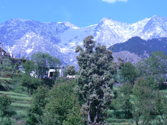 Dharamshala Tourism