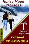 Honeymoon Packages 2011