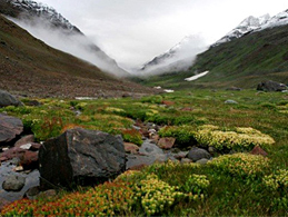 lahaul-spiti-tourism